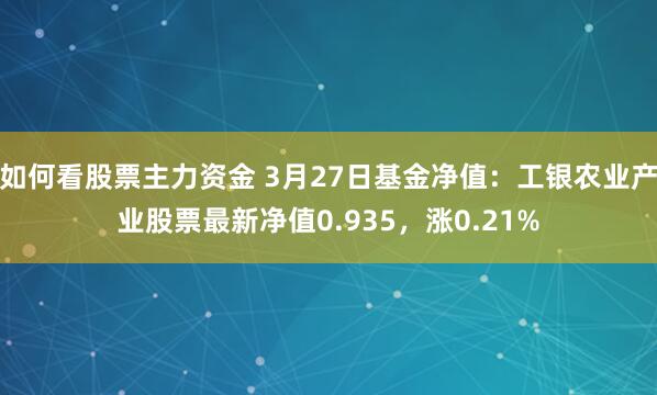 如何看股票主力资金 3月27日基金净值：工银农业产业股票最新净值0.935，涨0.21%