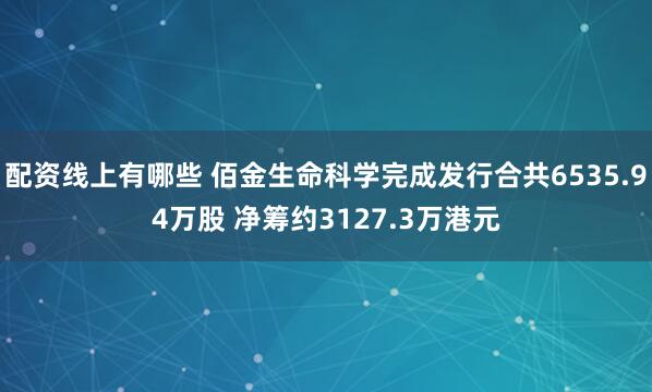 配资线上有哪些 佰金生命科学完成发行合共6535.94万股 净筹约3127.3万港元