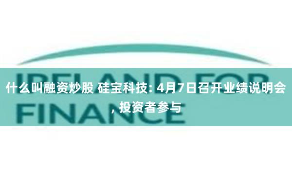 什么叫融资炒股 硅宝科技: 4月7日召开业绩说明会, 投资者参与