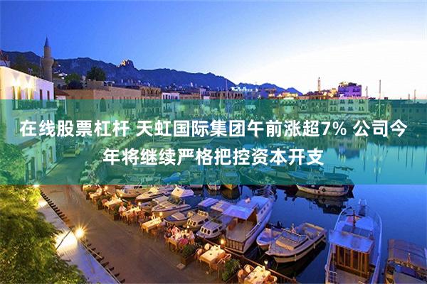在线股票杠杆 天虹国际集团午前涨超7% 公司今年将继续严格把控资本开支