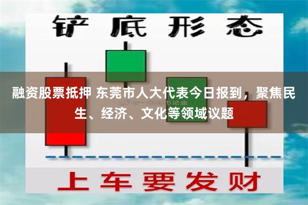 融资股票抵押 东莞市人大代表今日报到，聚焦民生、经济、文化等领域议题