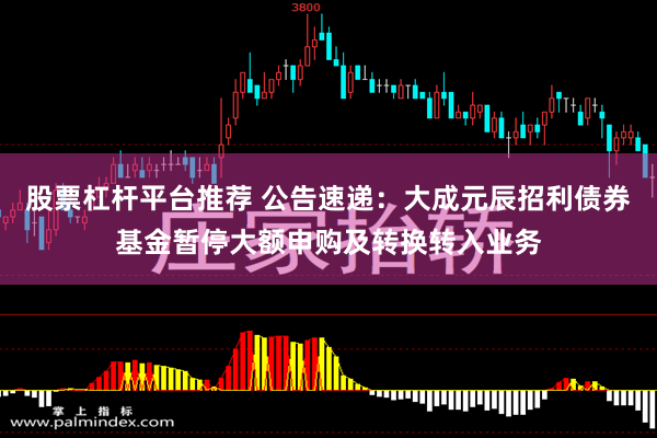 股票杠杆平台推荐 公告速递：大成元辰招利债券基金暂停大额申购及转换转入业务