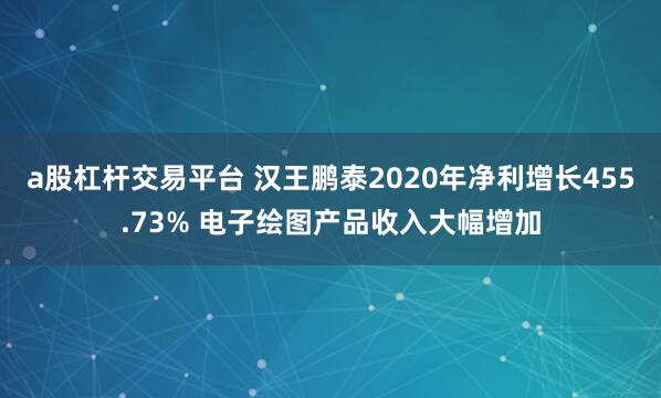 a股杠杆交易平台 汉王鹏泰2020年净利增长455.73% 电子绘图产品收入大幅增加