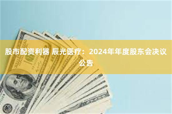 股市配资利器 辰光医疗：2024年年度股东会决议公告