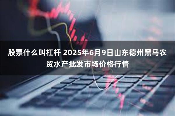 股票什么叫杠杆 2025年6月9日山东德州黑马农贸水产批发市场价格行情
