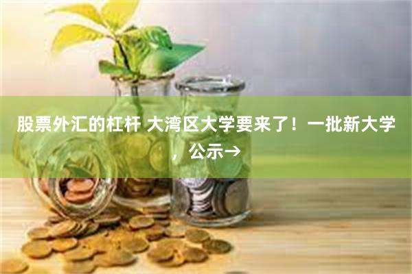 股票外汇的杠杆 大湾区大学要来了！一批新大学，公示→