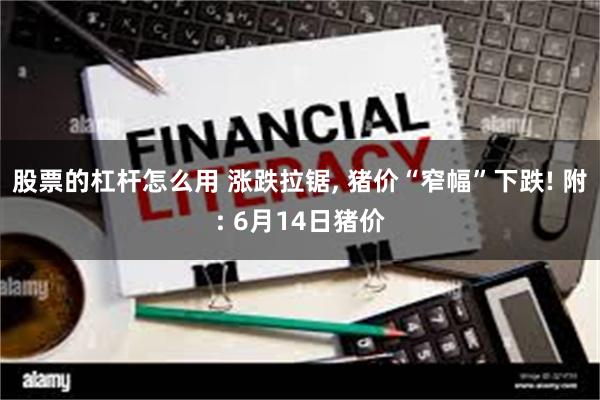 股票的杠杆怎么用 涨跌拉锯, 猪价“窄幅”下跌! 附: 6月14日猪价