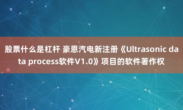 股票什么是杠杆 豪恩汽电新注册《Ultrasonic data process软件V1.0》项目的软件著作权